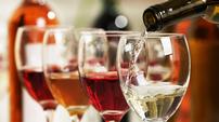 Red and White Wine Sampler – Case of 14 bottles 202//113